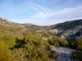 Vallon de descente