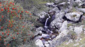 Vallon de Fontanalba