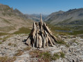 Vallon de Giarlogues