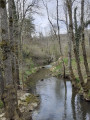 Vallon de l'Ardenne