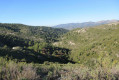 Vallon de l'Oule