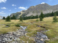 Vallon de la Braisse