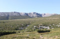 Vallon de la Gineste
