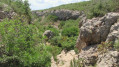 WP16 - Vallon de Livon