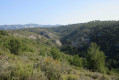 Vallon de Mauvelle