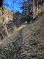 Vallon de Roccanièra- Sentier herbeux
