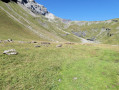 Vallon de Salvadon