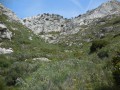 Baou Quatre Ouro par les Vallons des Bonnes Herbes et des Bagnards