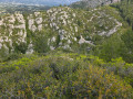 Vallon Des Camps d'Aubagne