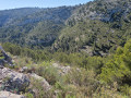 Vallon des Escourtines