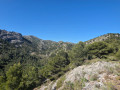 Vallon des Escourtines