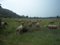 Vallon des Glauges Vallon des Glauges