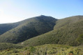 Vallon des Ouides