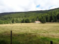 Le vallon du Fossat et Pierre-sur-Haute au départ du Col du Béal