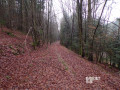 Vallon du Francogney