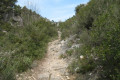 vallon du Pilon du Roi