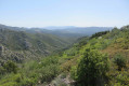 Vallon du Pilon du Roi