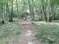 Le bras de Louvilliers