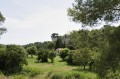 Vallon du Tallagard