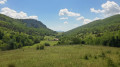 Vallon herbeux.