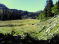 Vallon vers le Col de la Sure