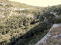 vallon