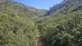 Vallon