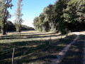 Vallon