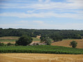 Vallonnements Vallonnements