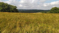 Vallons