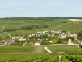 Vandières