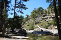 Boucle au bord du Golo au départ de la Maison Forestiére de Popaghja