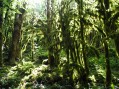 Die Gorgonnet-Schlucht
