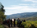 Autour de Juliénas en Beaujolais Autour de Juliénas en Beaujolais