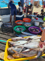 vente de poissons sur le ponton