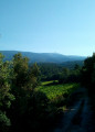 Ventoux au départ