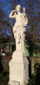 Vénus