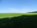 Aux sources de l'inspiration de Vincent Van Gogh à Auvers-sur-Oise Aux sources de l'inspiration de Vincent Van Gogh à Auvers-sur-Oise