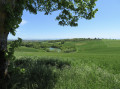 Verdure printanière