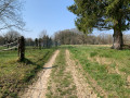 Vergers Ranspach