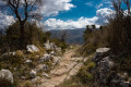 Vers Bouyon