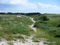 Vers Denneville. Vers Denneville.