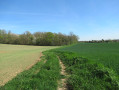 Vers Elleville