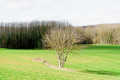 Vers la combe Gaudin Vers la combe Gaudin