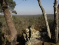 Un grand tour de l'Est de la Forêt de Fontainebleau