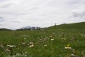 Vers la montée au Haboura