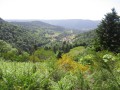 Vers la Piquante Pierre