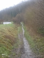vers la porcherie
