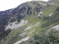 Vers le chalet de l'Arbesserie
