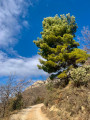 Vers le col de Milmandre